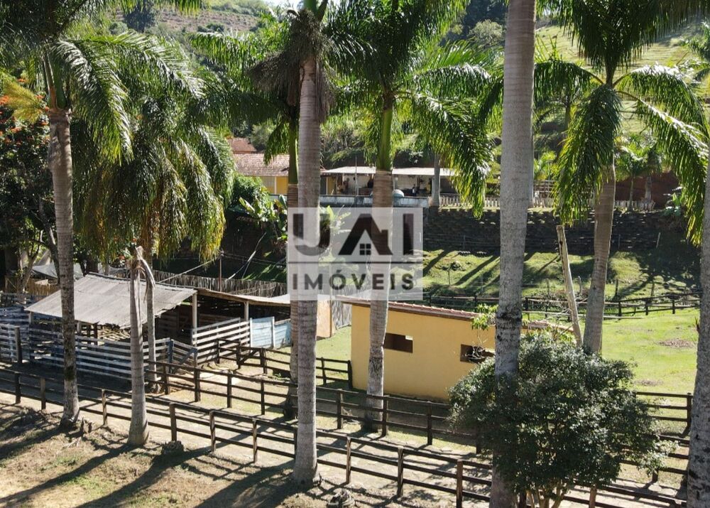 Sítio, 6 quartos, 3 hectares - Foto 23