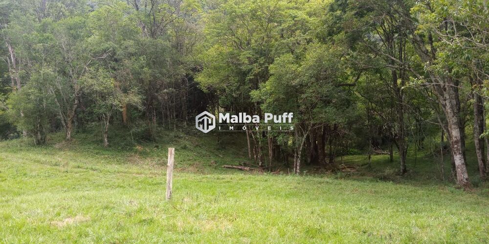 Terreno, 4 hectares - Foto 3