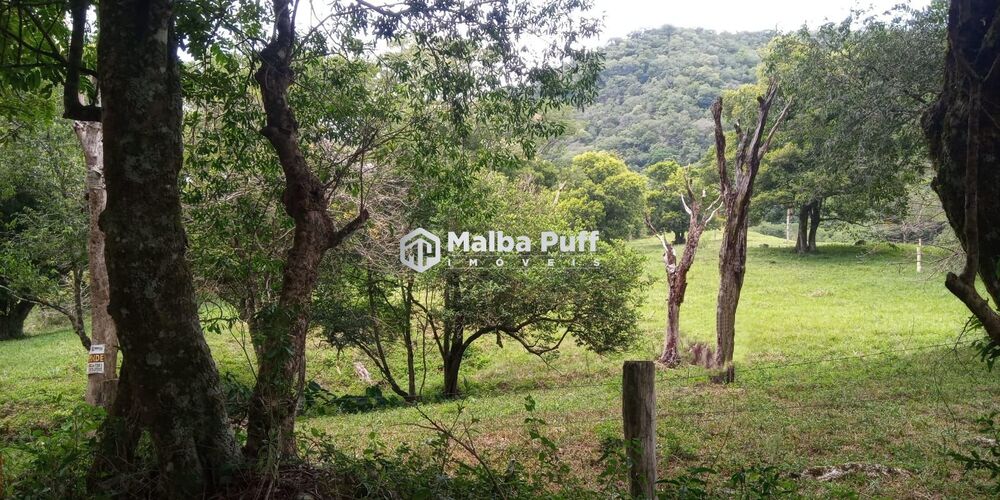 Terreno, 4 hectares - Foto 2
