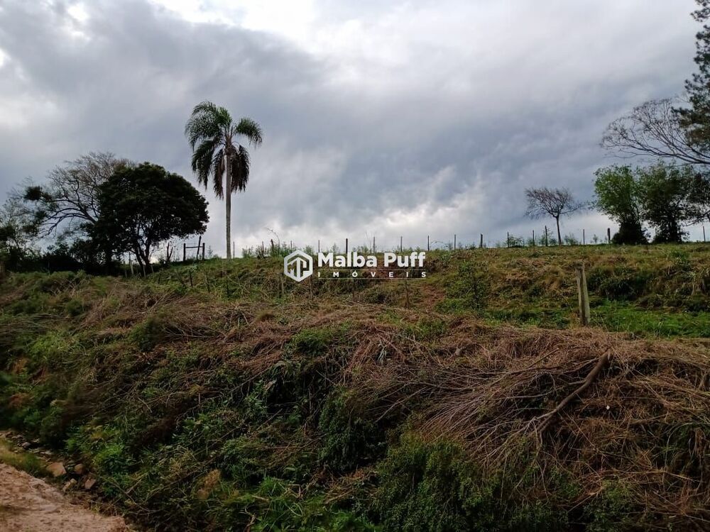 Terreno, 5 hectares - Foto 6