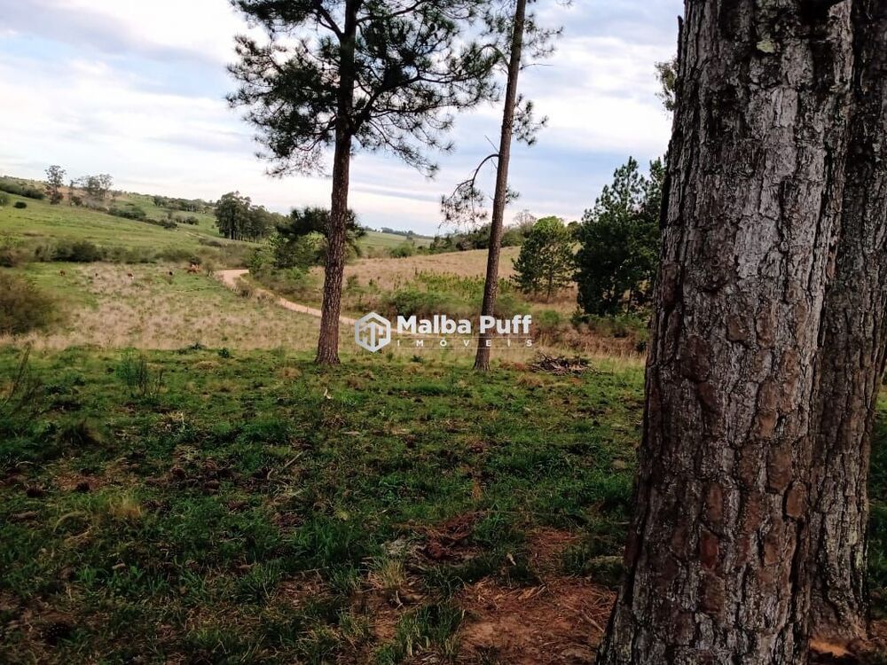 Terreno, 5 hectares - Foto 2