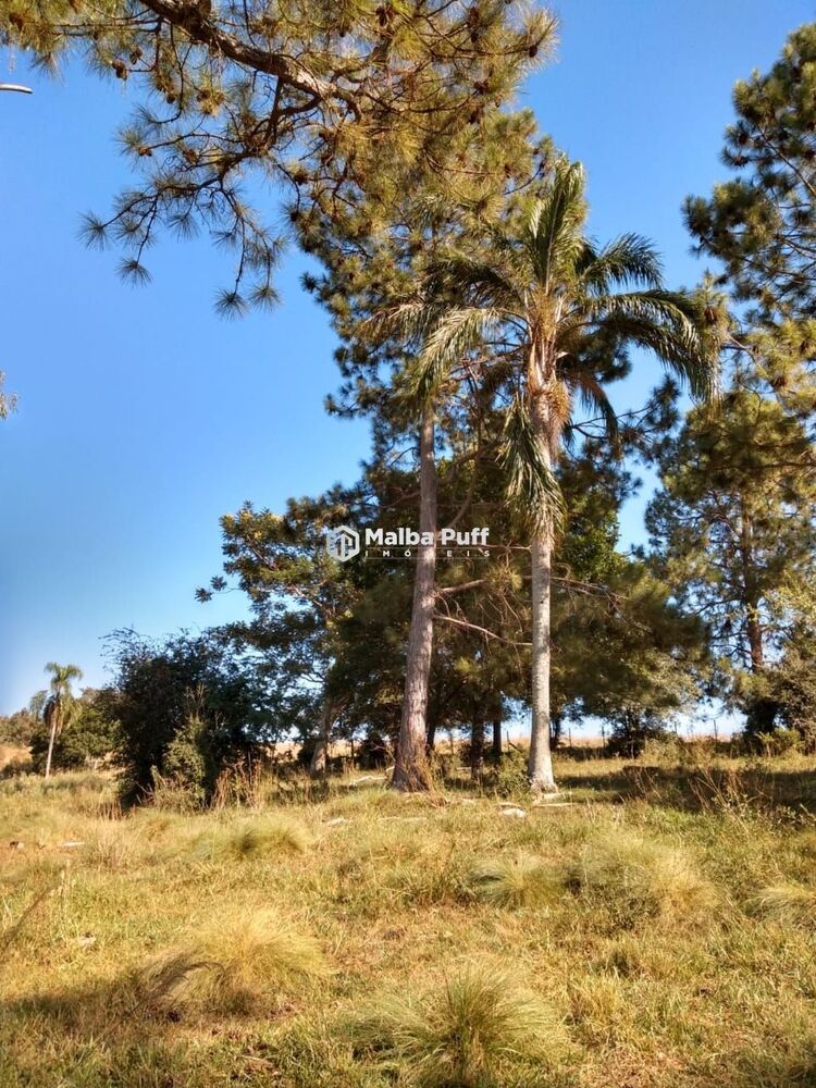Terreno, 5 hectares - Foto 3