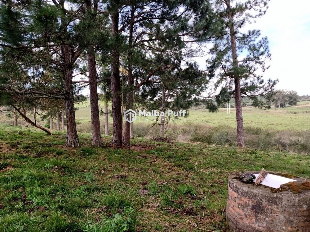 Terreno, 5 hectares - Foto 11