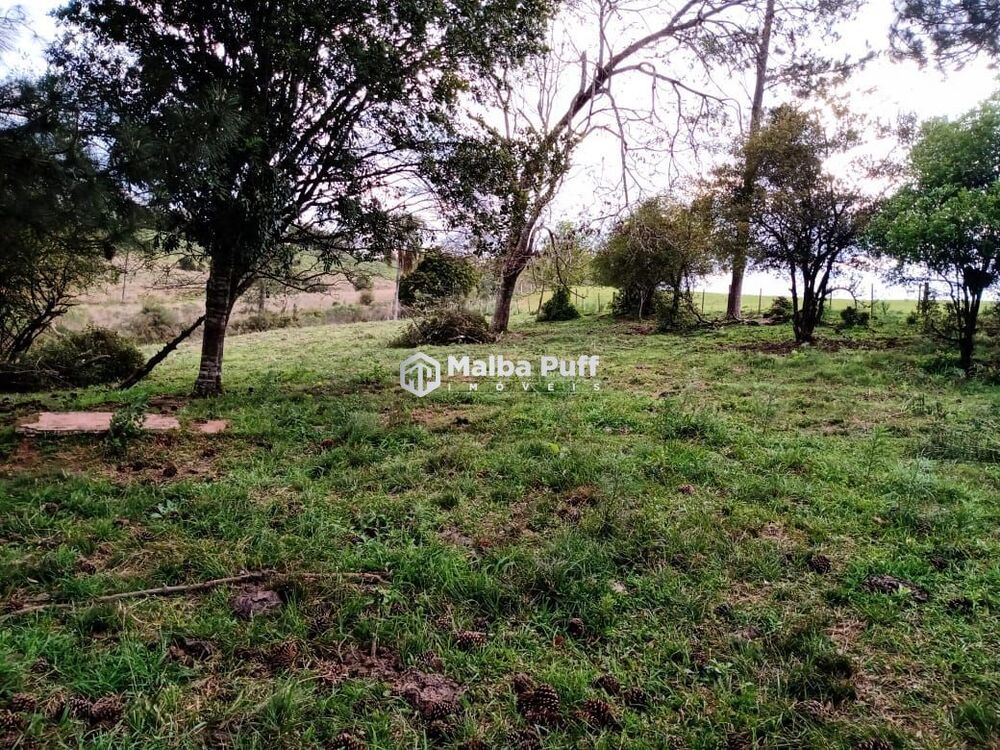Terreno, 5 hectares - Foto 12