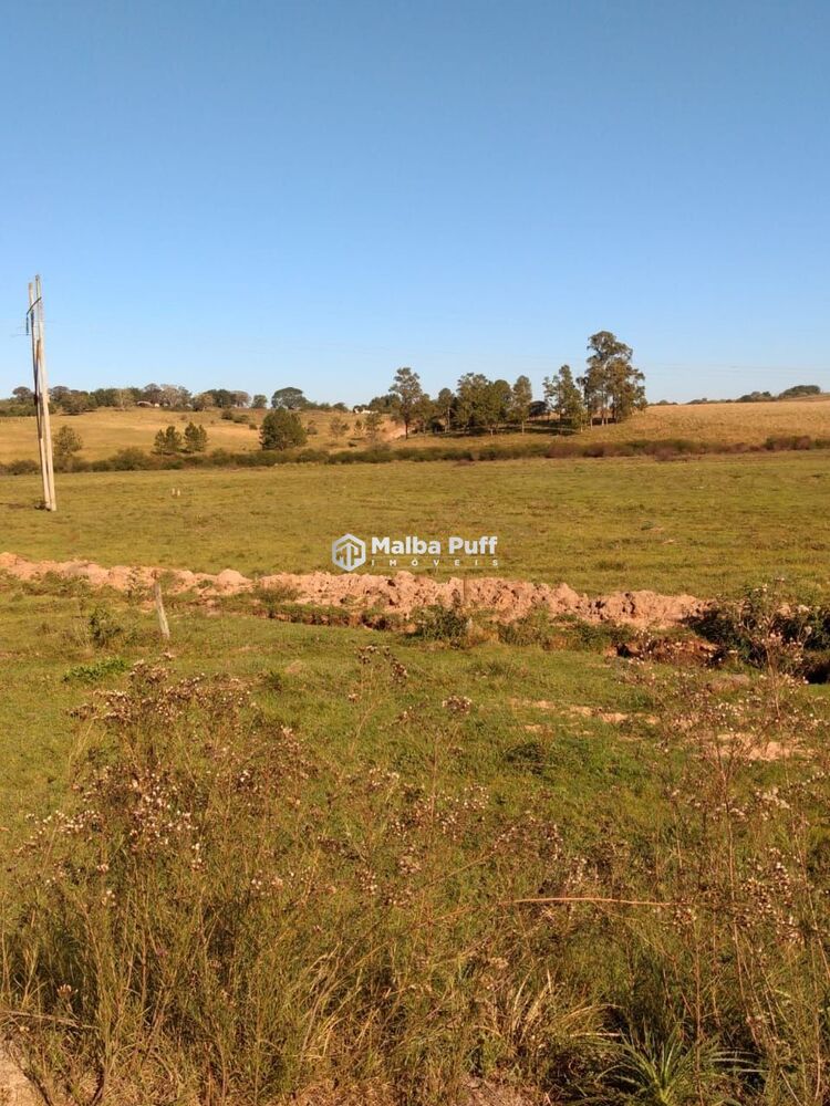 Terreno, 5 hectares - Foto 8