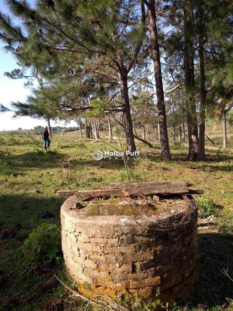 Terreno, 5 hectares - Foto 7