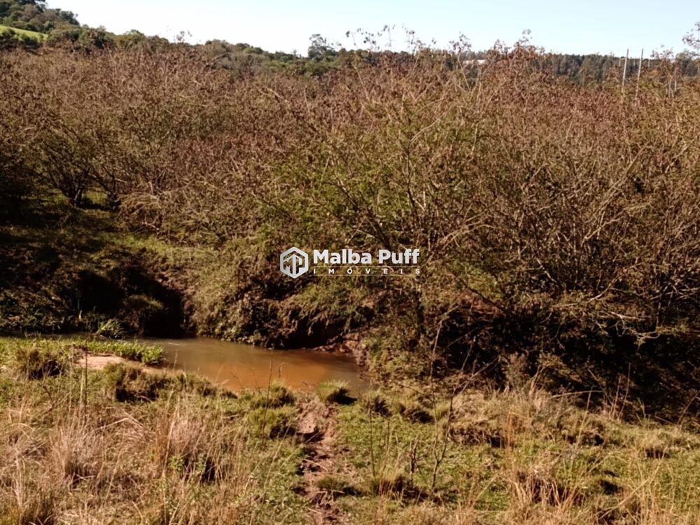 Terreno, 5 hectares - Foto 10