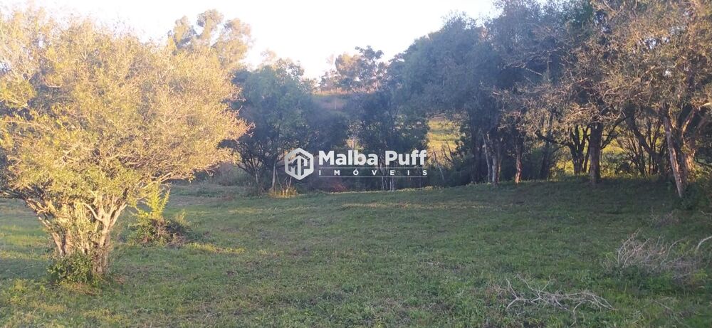 Terreno, 2000 m² - Foto 3