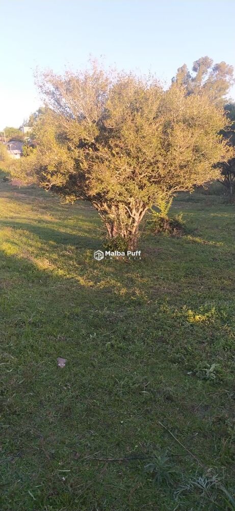 Terreno, 2000 m² - Foto 1