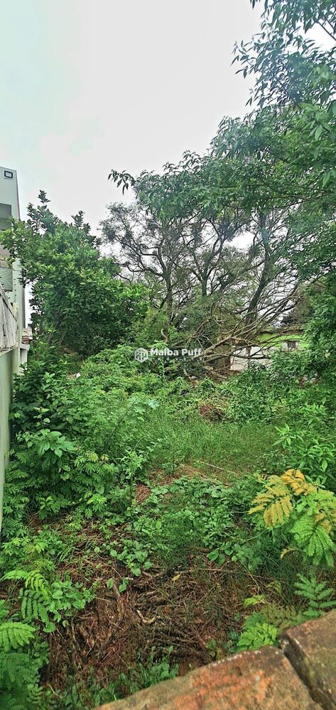 Terreno, 550 m² - Foto 6