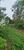 Terreno, 550 m² - Foto 5