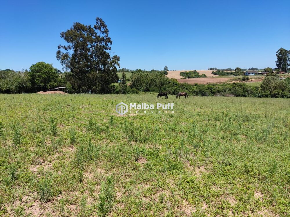 Chácara à venda com 4 quartos, 15000m² - Foto 19