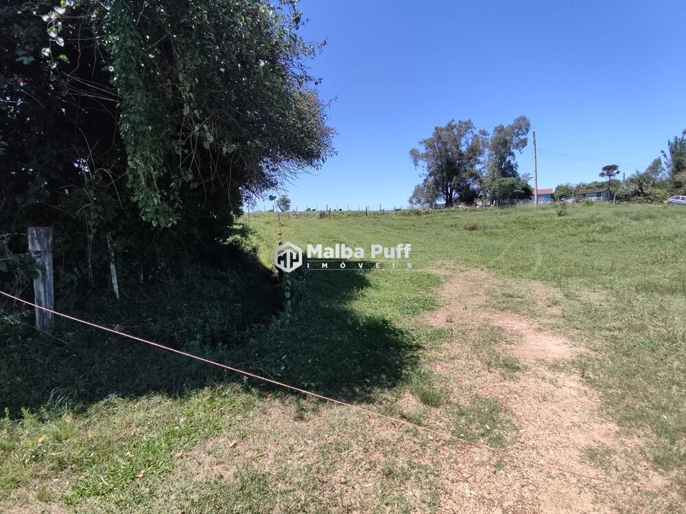 Chácara à venda com 4 quartos, 15000m² - Foto 15