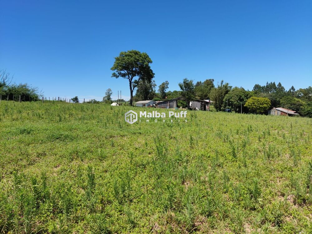Chácara à venda com 4 quartos, 15000m² - Foto 22