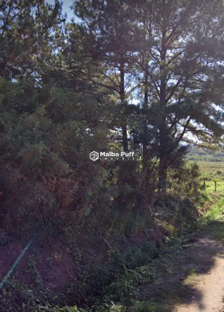 Terreno, 2275 m² - Foto 6