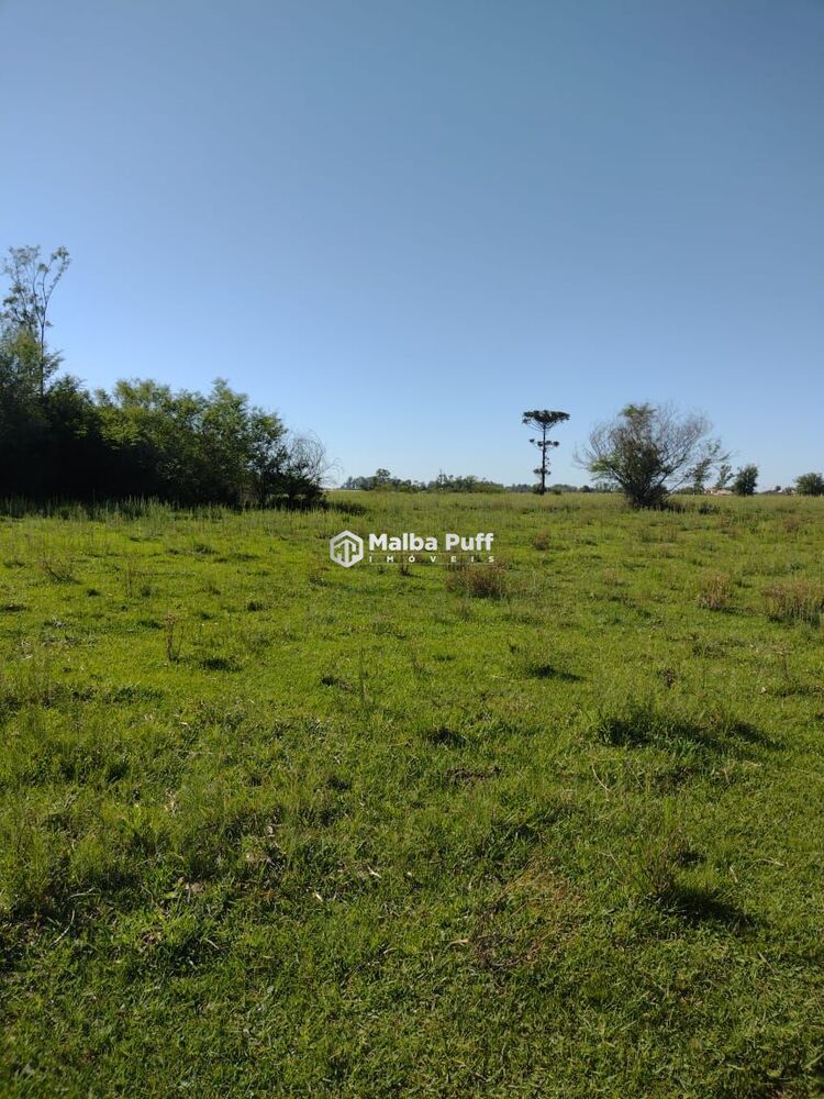Terreno, 2039 m² - Foto 3