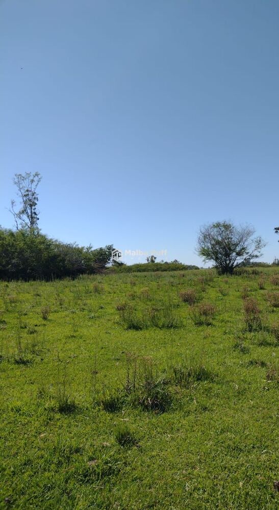 Terreno, 2039 m² - Foto 1