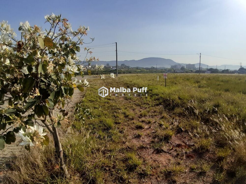 Terreno, 375 m² - Foto 16