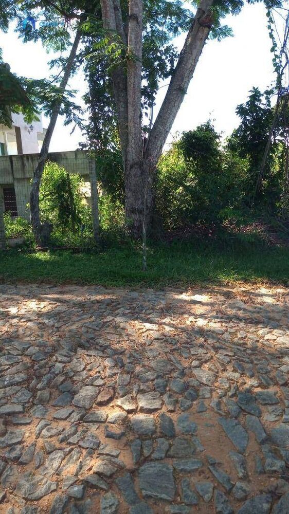 Loteamento e Condomínio, 1291 m² - Foto 4