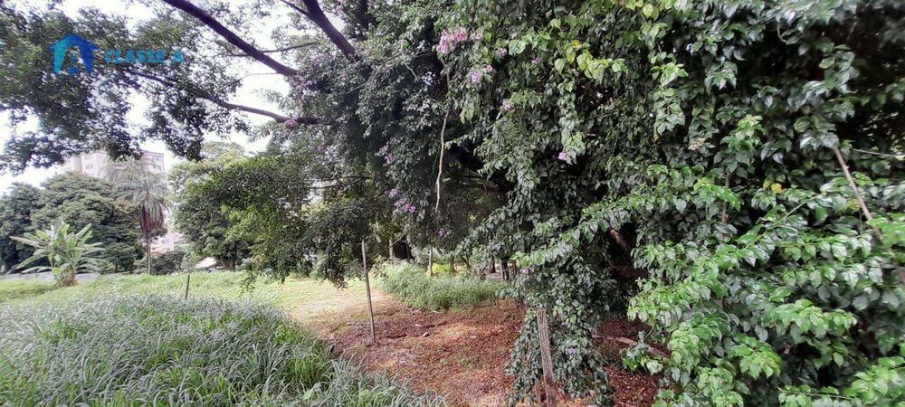 Terreno, 350 m² - Foto 3