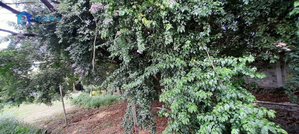 Terreno, 350 m² - Foto 1