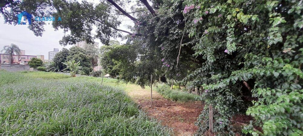 Terreno, 350 m² - Foto 4