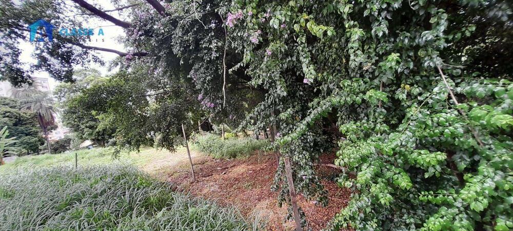 Terreno, 350 m² - Foto 2
