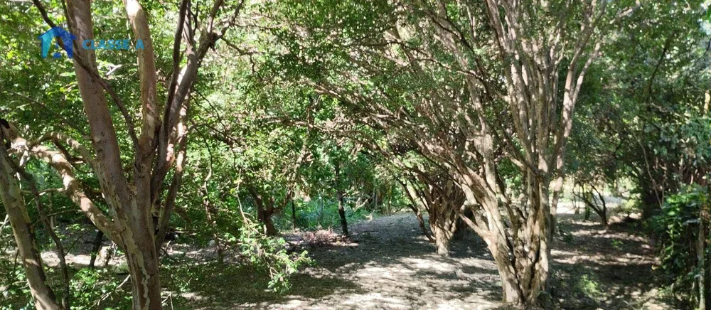 Terreno, 2000 m² - Foto 2