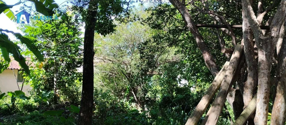 Terreno, 2000 m² - Foto 9