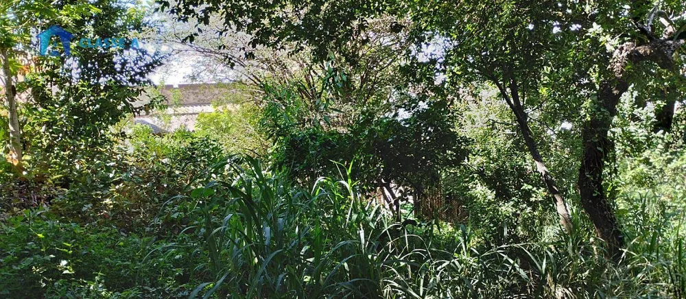 Terreno, 2000 m² - Foto 4