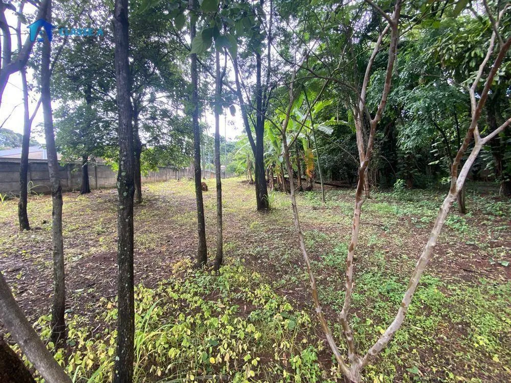 Terreno, 6455 m² - Foto 7