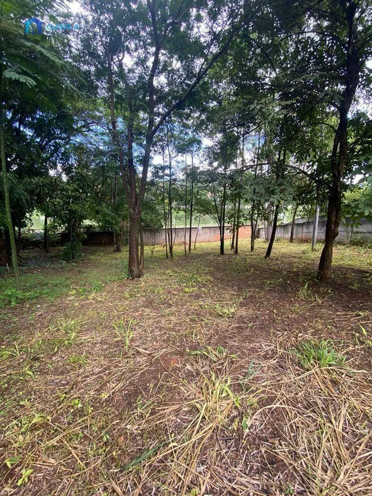 Terreno, 6455 m² - Foto 6