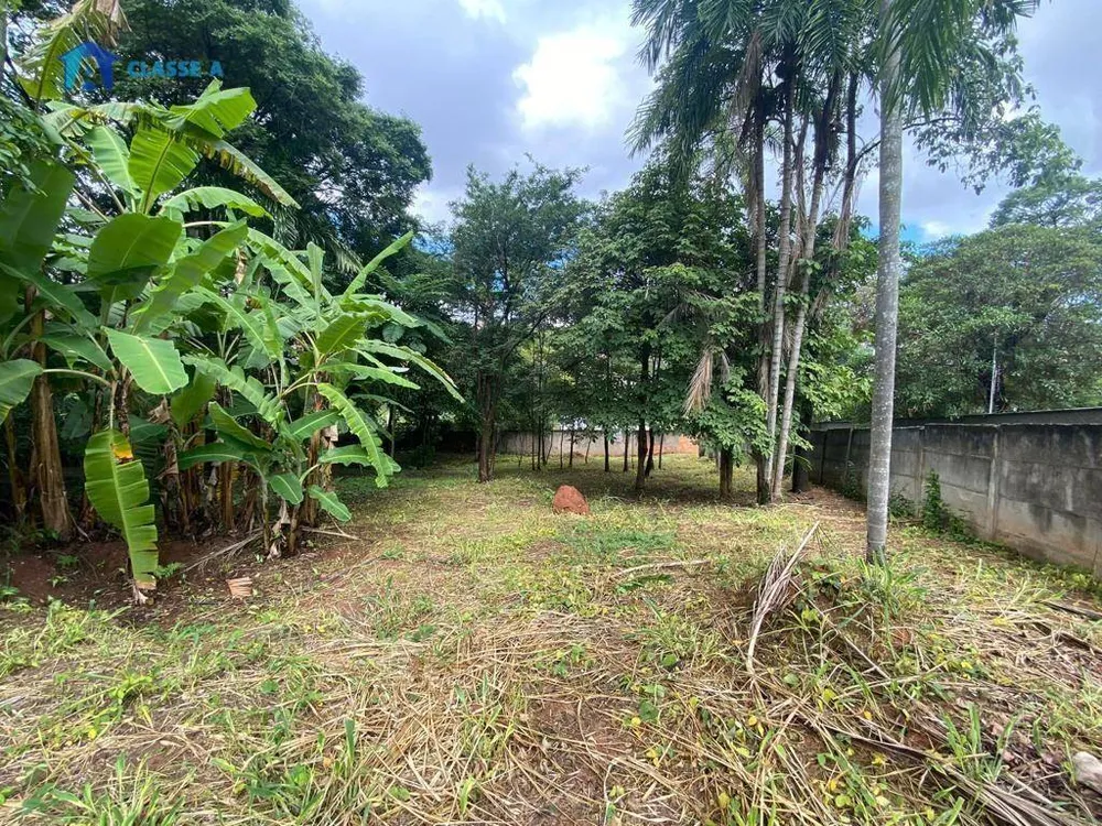 Terreno, 6455 m² - Foto 9
