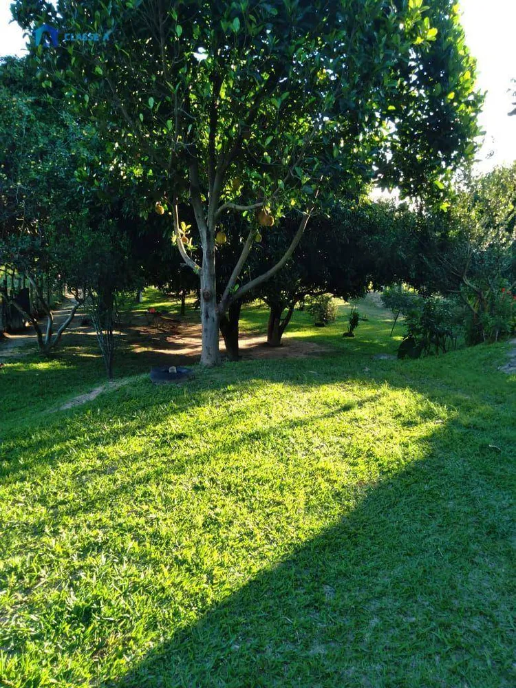 Chácara, 3 quartos, 2000 m² - Foto 2