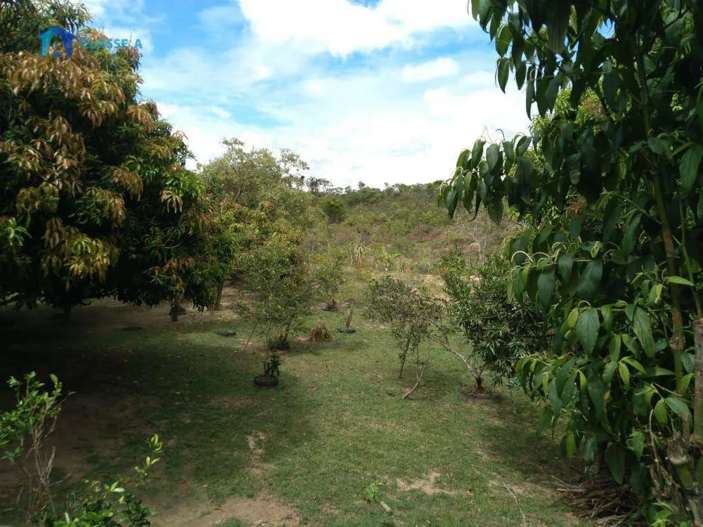 Chácara, 3 quartos, 2000 m² - Foto 3