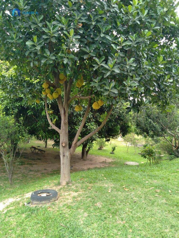 Chácara, 3 quartos, 2000 m² - Foto 7