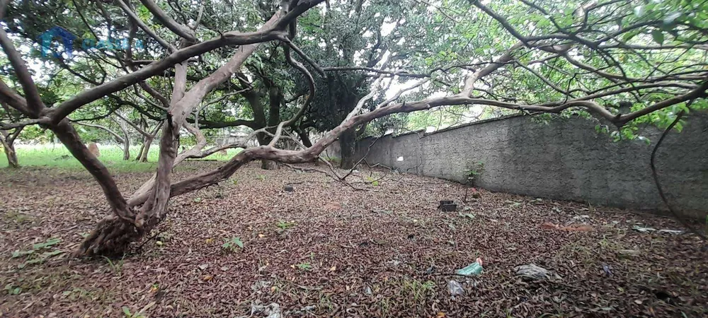 Terreno, 1220 m² - Foto 5