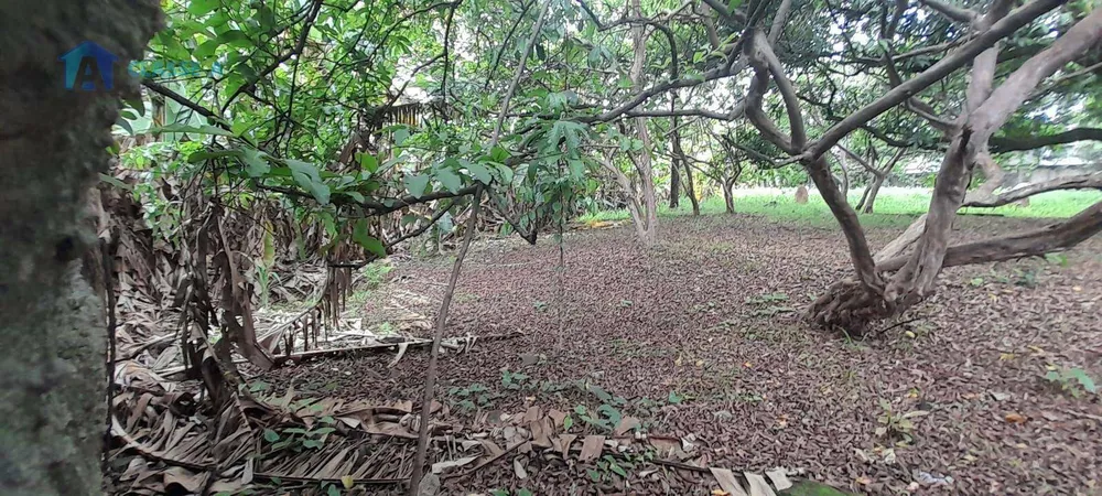 Terreno, 1220 m² - Foto 6