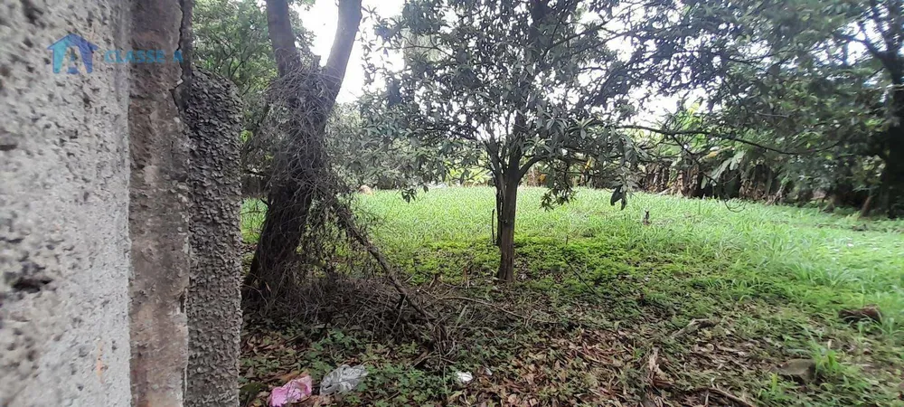 Terreno, 1220 m² - Foto 2