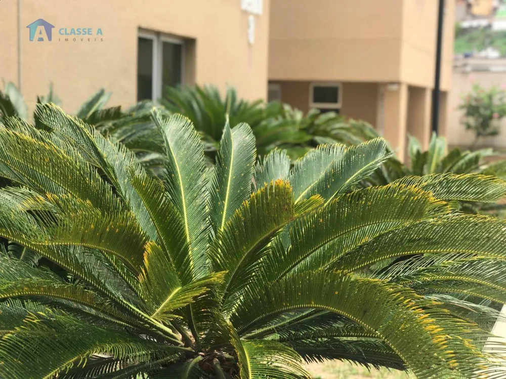 Apartamento, 2 quartos, 51 m² - Foto 4