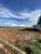 Terreno, 525 m² - Foto 2