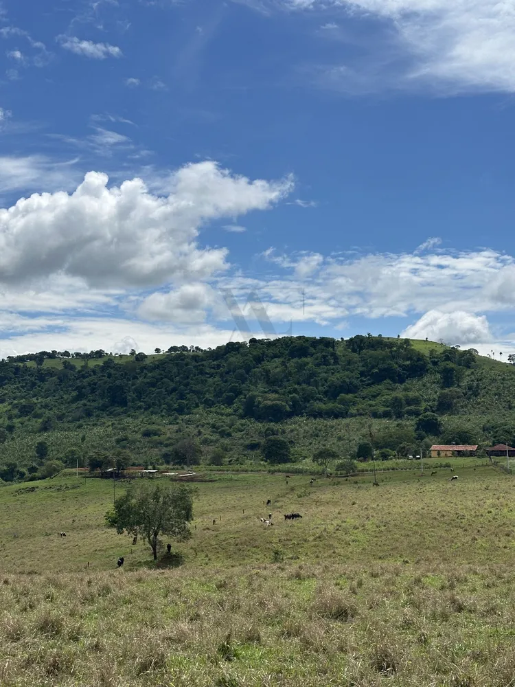 Chácara, 4 quartos, 10 hectares - Foto 15