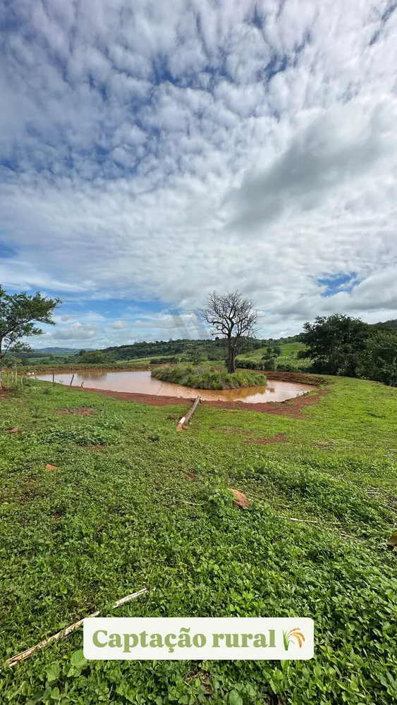 Chácara, 4 quartos, 10 hectares - Foto 2