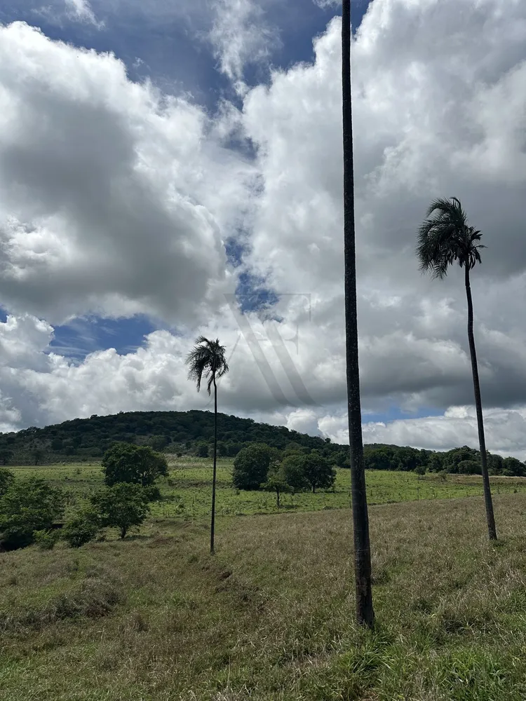 Chácara, 4 quartos, 10 hectares - Foto 1