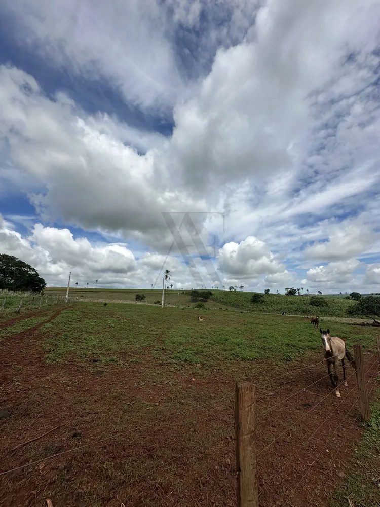 Chácara, 4 quartos, 10 hectares - Foto 13