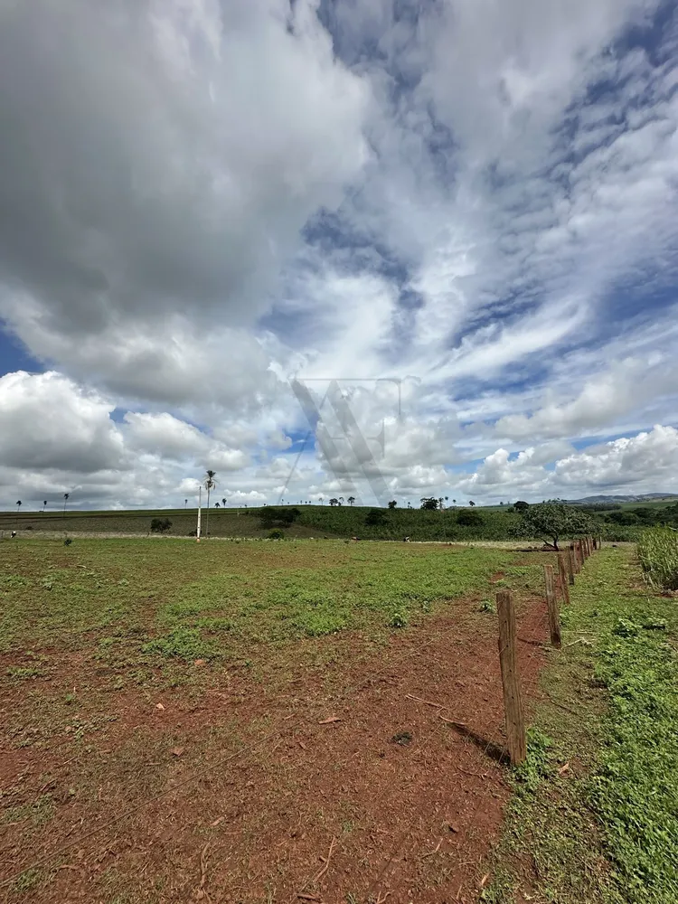 Chácara, 4 quartos, 10 hectares - Foto 14