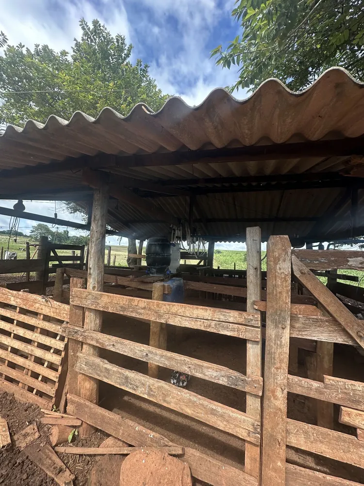 Chácara, 4 quartos, 10 hectares - Foto 4