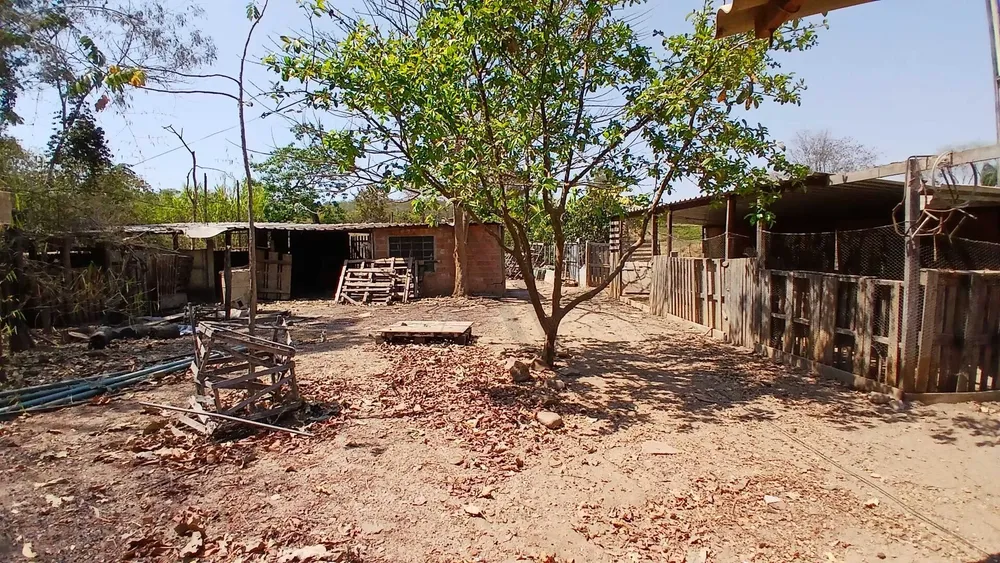 Chácara, 3 quartos, 5000 m² - Foto 10