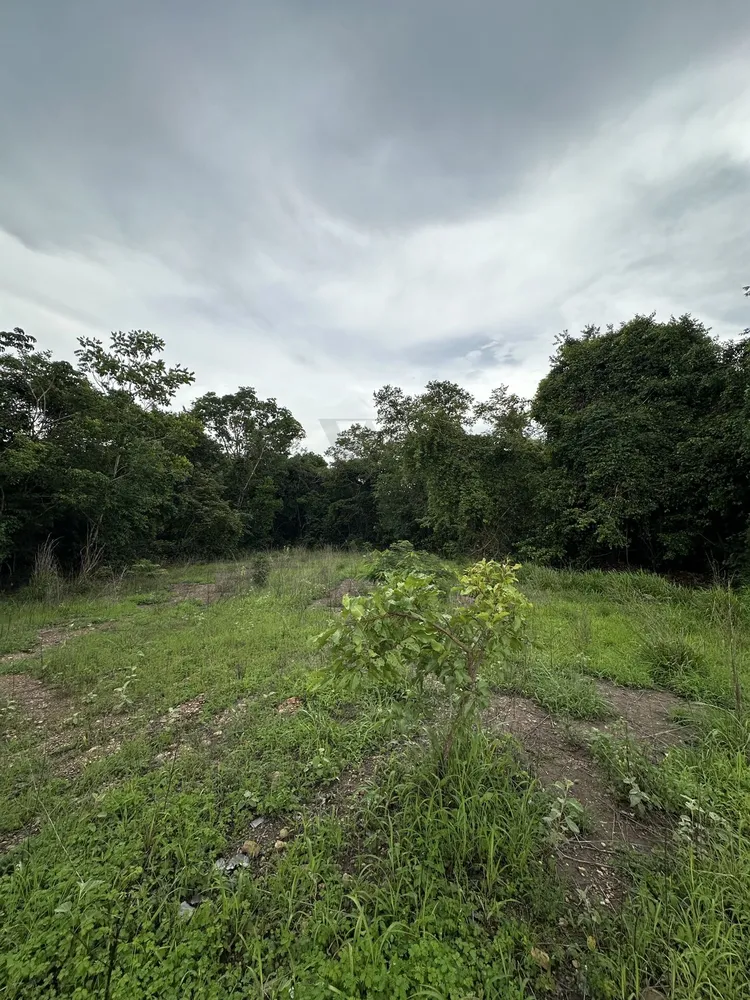 Terreno - Foto 1