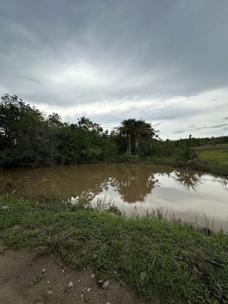 Chácara, 3 quartos, 100 hectares - Foto 1